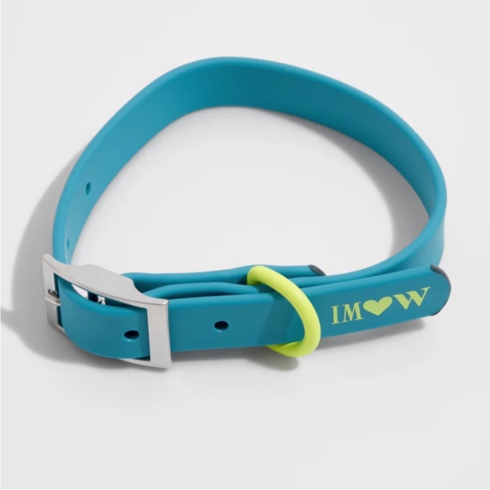 NWT Wild One Dog Collar